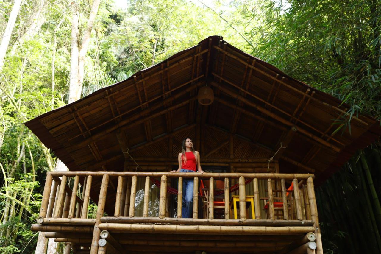 Ecohotel Monteverde Ла-Вега Экстерьер фото